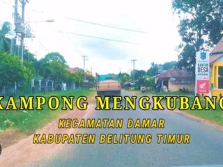 Budidaya Udang di Mengkubang, Peluang Baru bagi Perekonomian Lokal