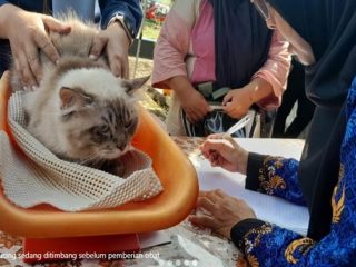 Pemeriksaan Hewan Gratis! Kewajiban Pemilik Hewan atau Seremonial Saja?